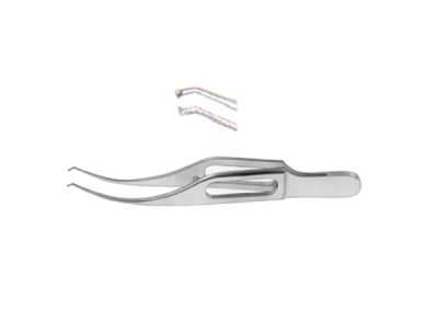 Colibri Forceps